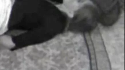 vợ hentai học đường